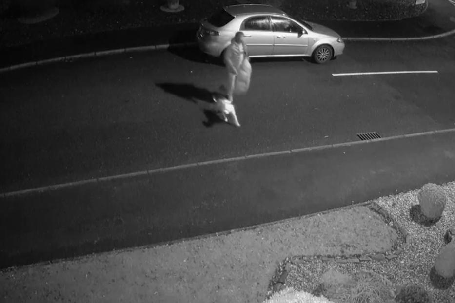 Eine Person geht nachts mit einem Hund an der Leine an einem Auto vorbei.