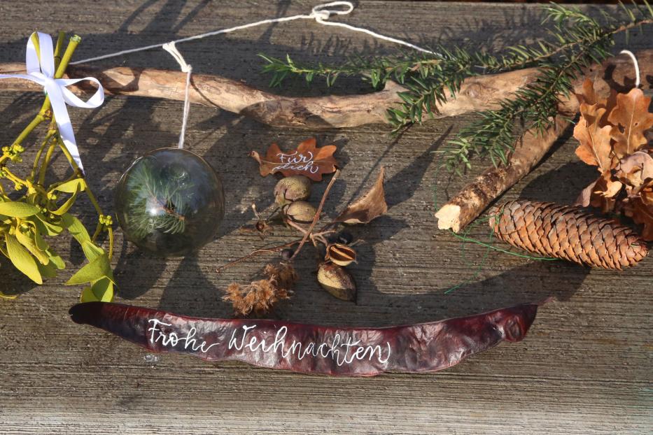 Ein weihnachtliches Arrangement mit Mistelzweig, Tannenzapfen und dem Schriftzug „Frohe Weihnachten“.