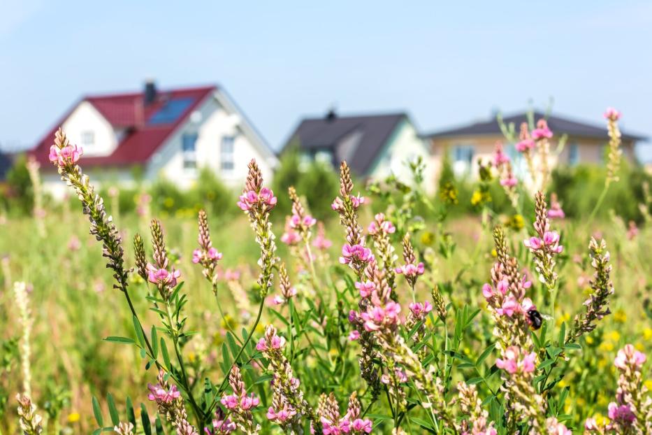 Einfamilienhäuser am Land