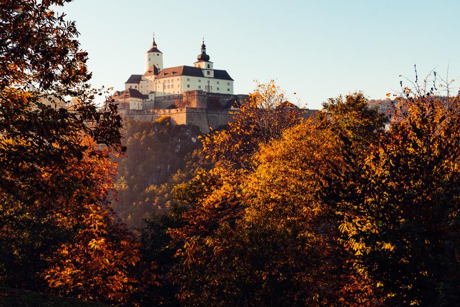 burg-forchtenstein-cjosefsiffert.jpg