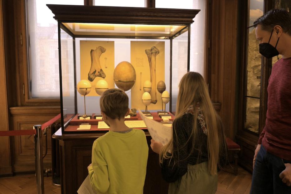 Zwei Kinder und ein Mann betrachten eine Ausstellung über Eier und Knochen in einem Museum.