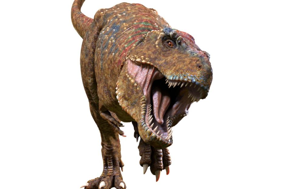 dino.jpg