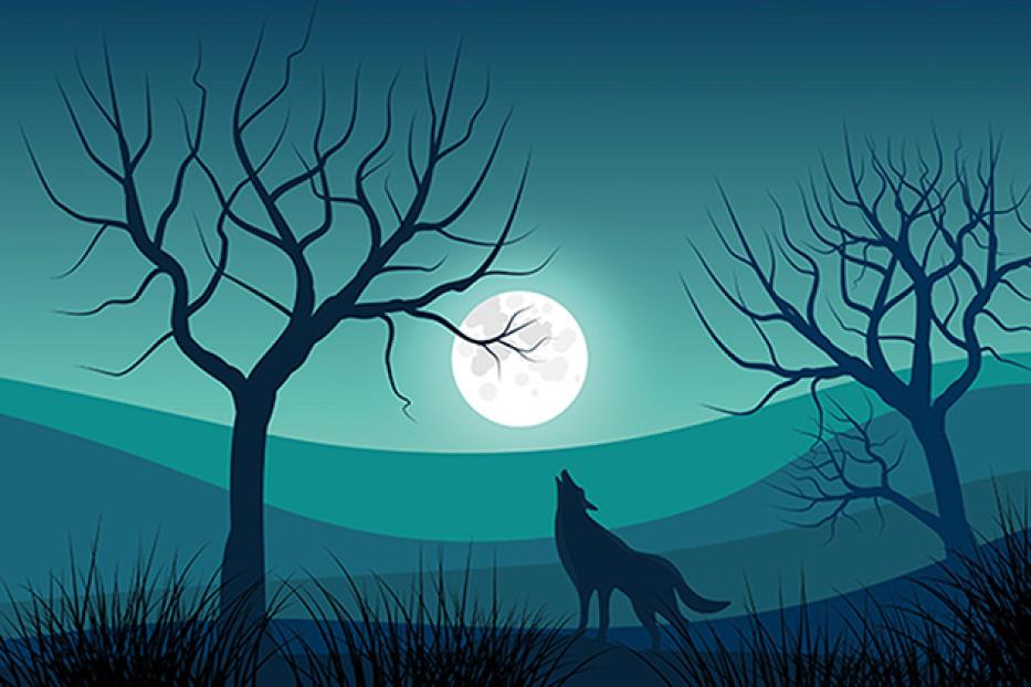 Ein Wolf heult den Mond an, im Hintergrund kahle Bäume.