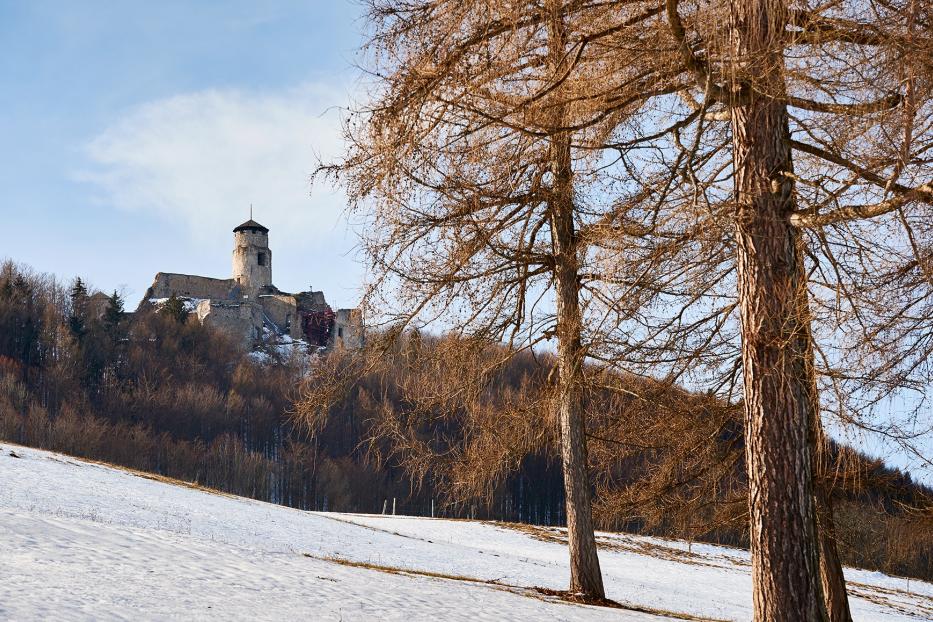 Eine verschneite Wiese, davor zwei Bäume, im Hintergrund ein Wald, an dessen höchsten Punkt sich eine Burgruine befindet