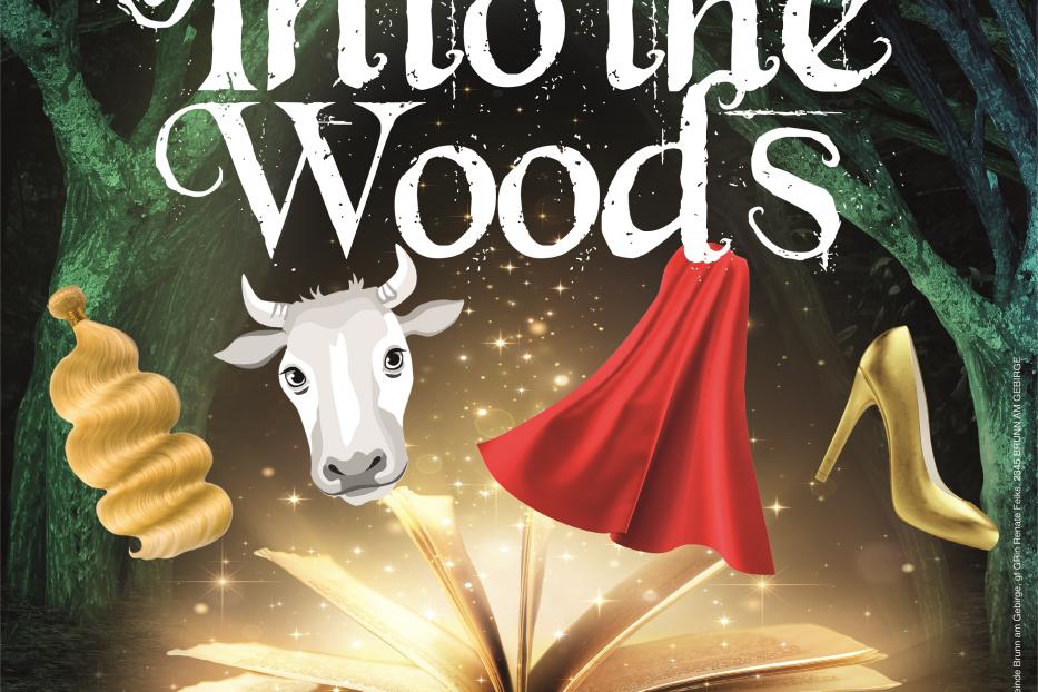 Ein Werbeplakat für das Musical „Into the Woods“ mit Märchenmotiven wie Rapunzels Zopf und Aschenputtels Schuh.