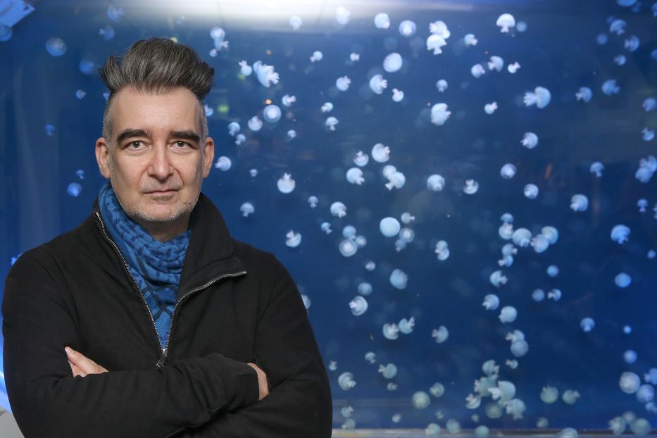 Michael Stavaric