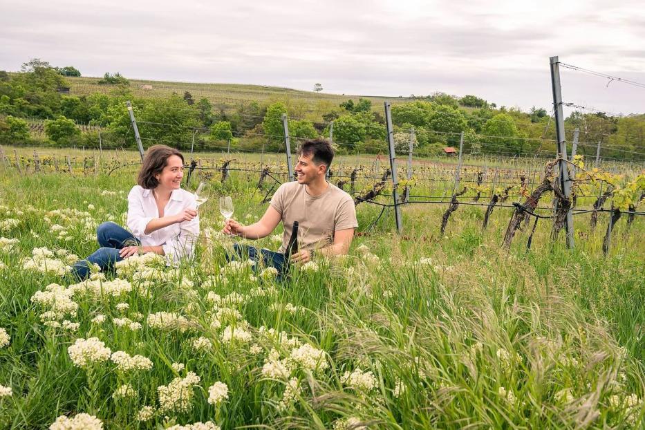 Weinfrühling im Kremstal, Traisental und Kamptal