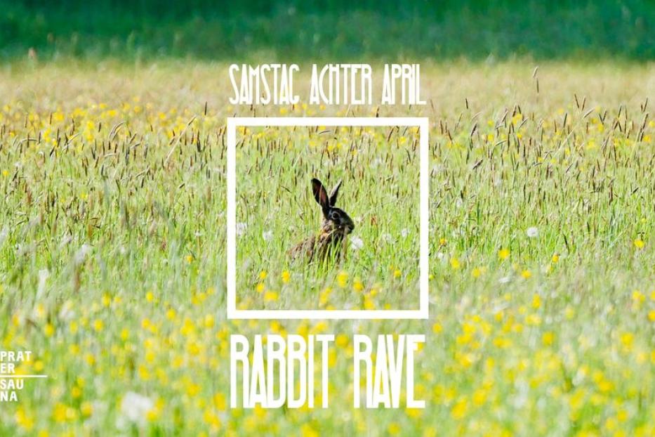 Ein Hase sitzt in einem Feld mit gelben Blumen.