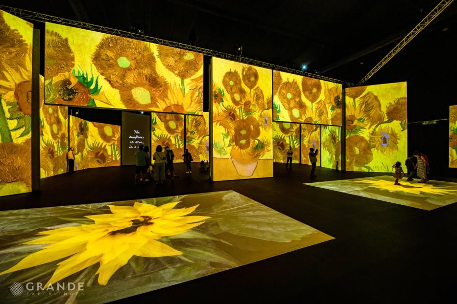 Van Gogh Immersive Ausstellung