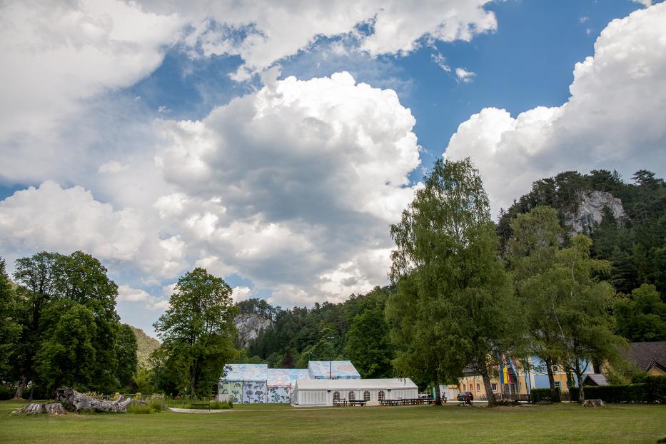 Eine grüne Wiese mit Bäumen und Zelten unter einem bewölkten Himmel.