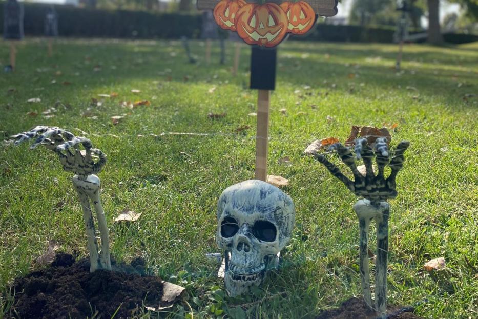 Eine Halloween-Dekoration mit einem Schädel und Skeletthänden, die aus der Erde ragen.