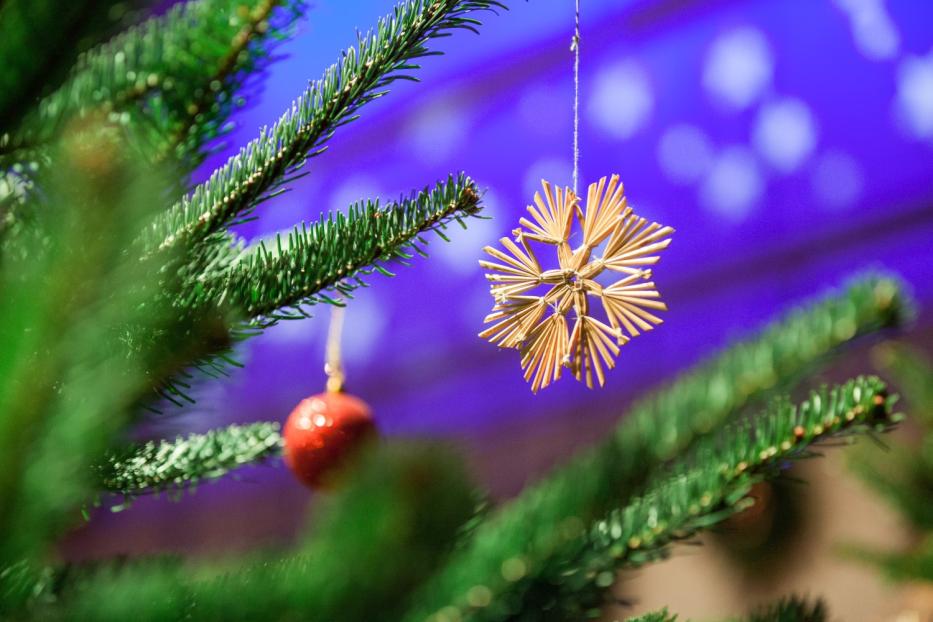 Ein Strohstern und eine rote Kugel hängen an einem Weihnachtsbaum.