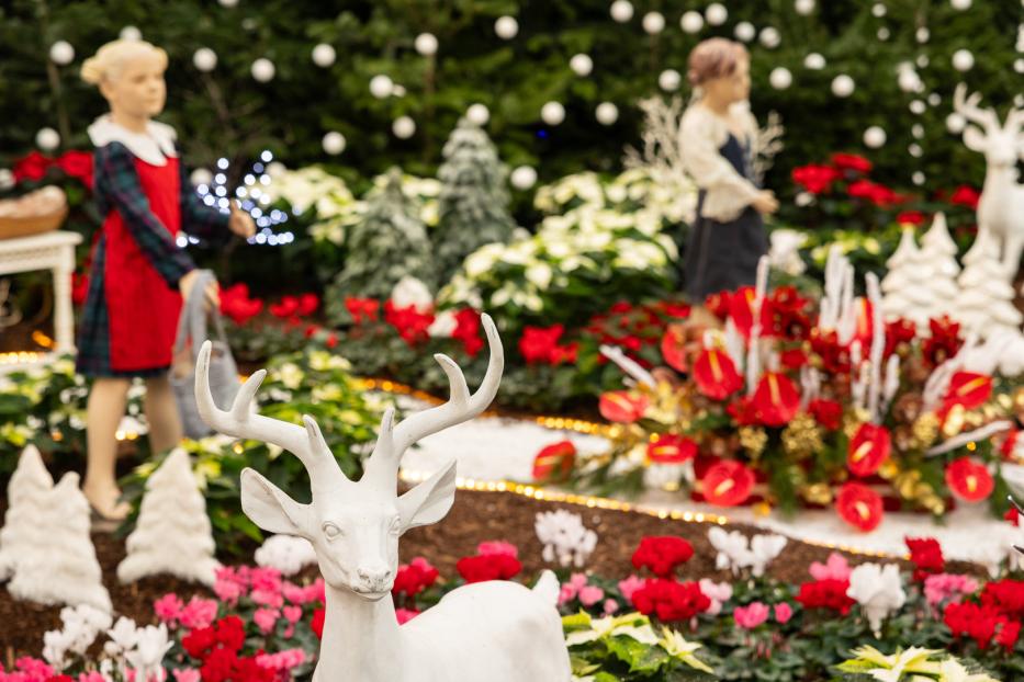 Weihnachtsausstellung in den Blumengärten Hirschstetten