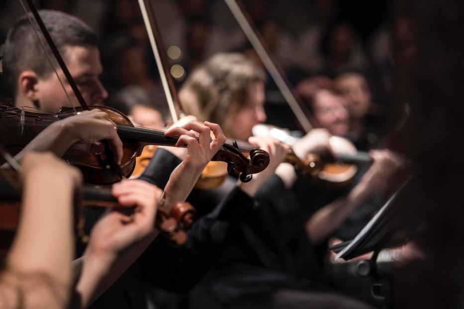 Mehrere Geiger spielen in einem Orchester.