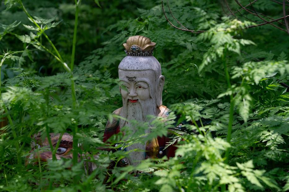 Eine Buddha-Statue mit langem Bart sitzt inmitten von üppigem Grün.
