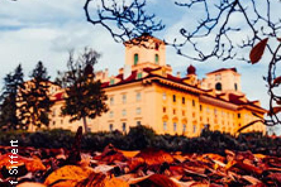 Schloss Hof im Herbstlaub, gesehen durch Äste.