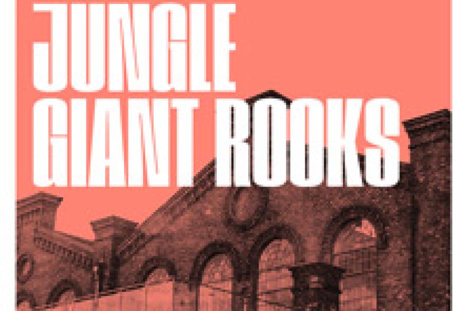 Ein Werbeplakat für ein Open-Air-Konzert von Jungle und Giant Rooks am 16. Juli 2024 in Wien Metastadt.