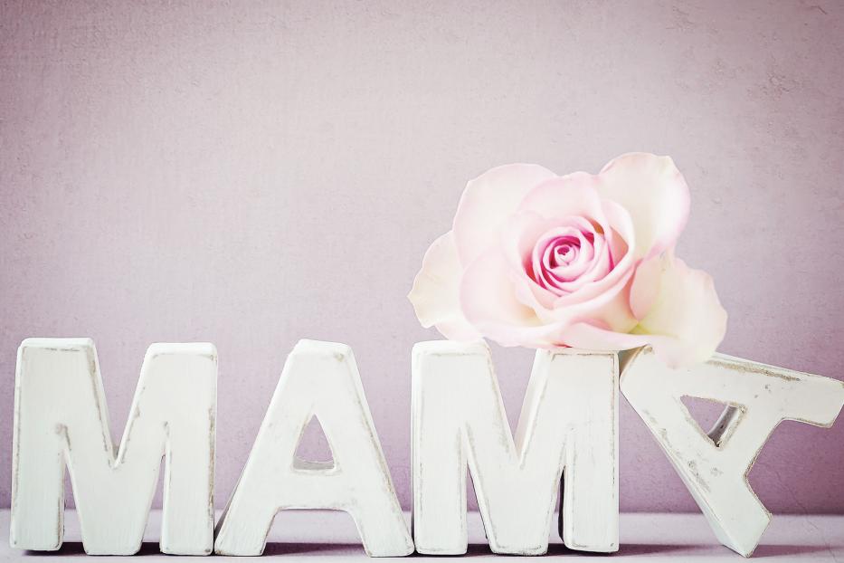 Der Schriftzug „Mamy“ mit einer rosa Rose auf einem lila Hintergrund.