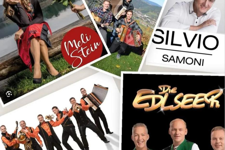 Collage verschiedener Musiker und Bands, darunter Meli Stein, Silvio Samoni und Die Edlseer.