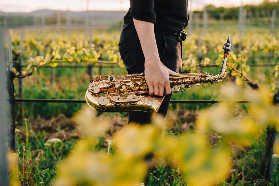 "Kultur bei Winzerinnen und Winzer"