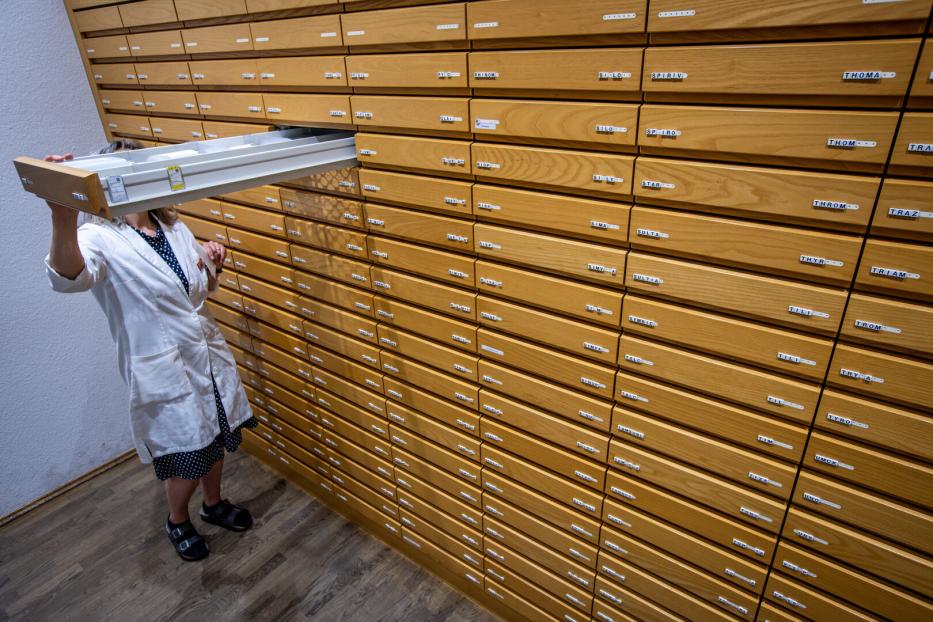 Medikamentenmangel in Apotheken