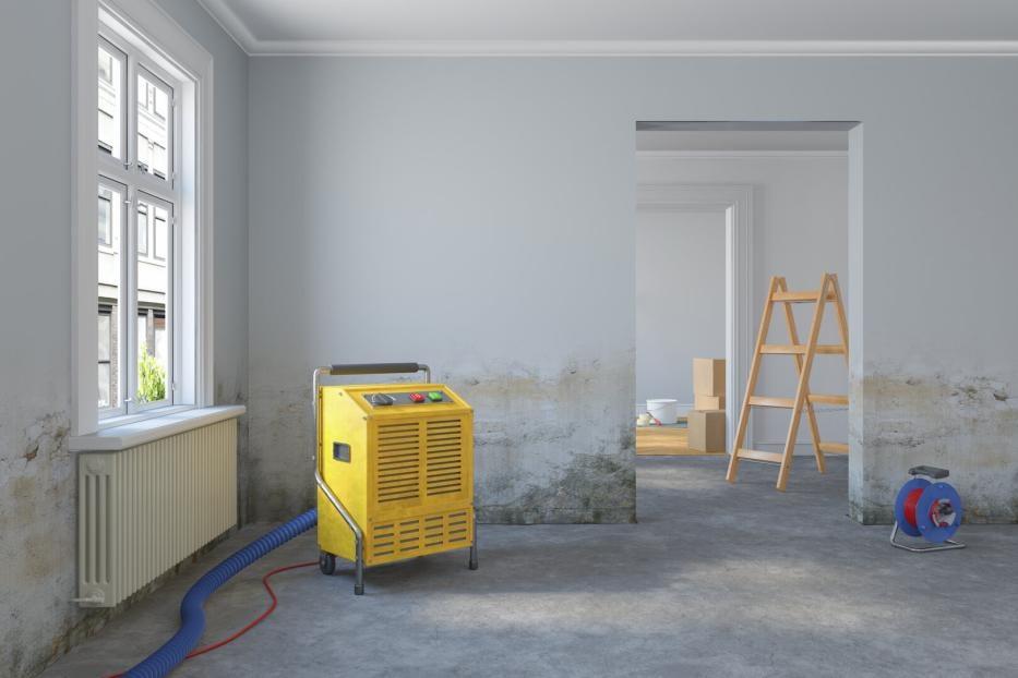 3d rendering - empty scandinavian room - dehumidifier - renovate