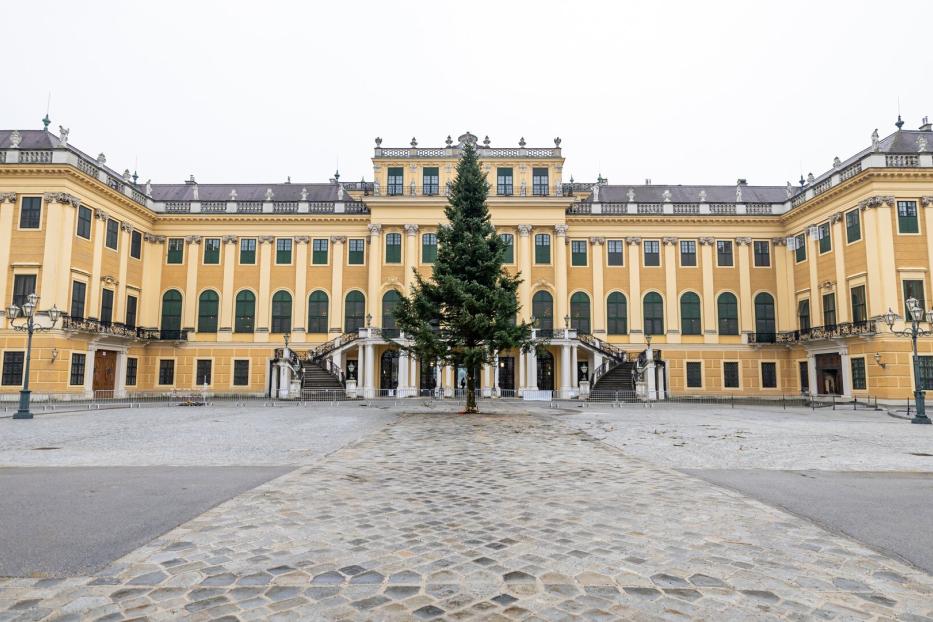 Vor dem Schloss Schönbrunn in Wien steht ein großer Weihnachtsbaum.