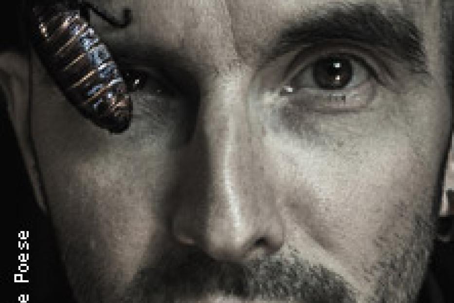 Ein Mann mit einer Madagaskar-Fauchschabe auf der Stirn.