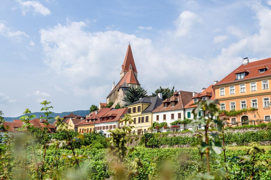 Weißenkirchen in der Wachau: Marillenbäume und Weingärten prägen die Weltkulturerbe-Region.