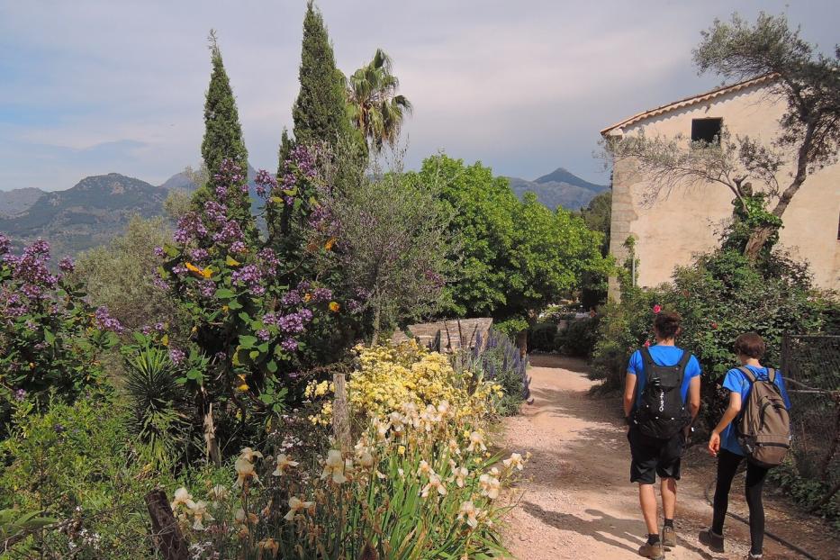 Mallorca ist ein Wanderparadies: Weg von Deià nach Port de Sóller