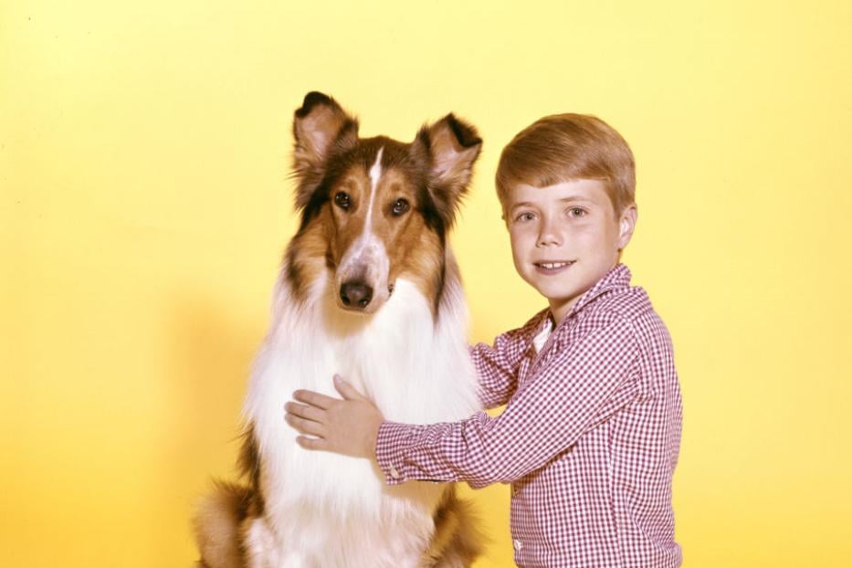 Lassie und Jon Provost (1964)