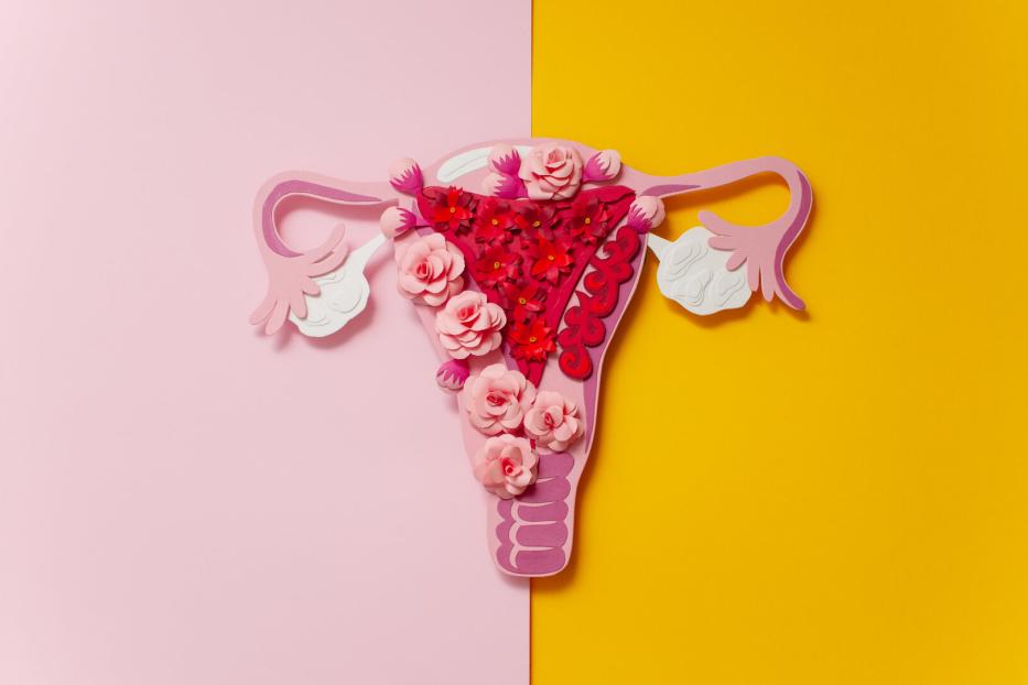 Endometriose betrifft weltweit Millionen von Frauen, viele wissen davon nichts. Dabei ist die Früherkennung wesentlich