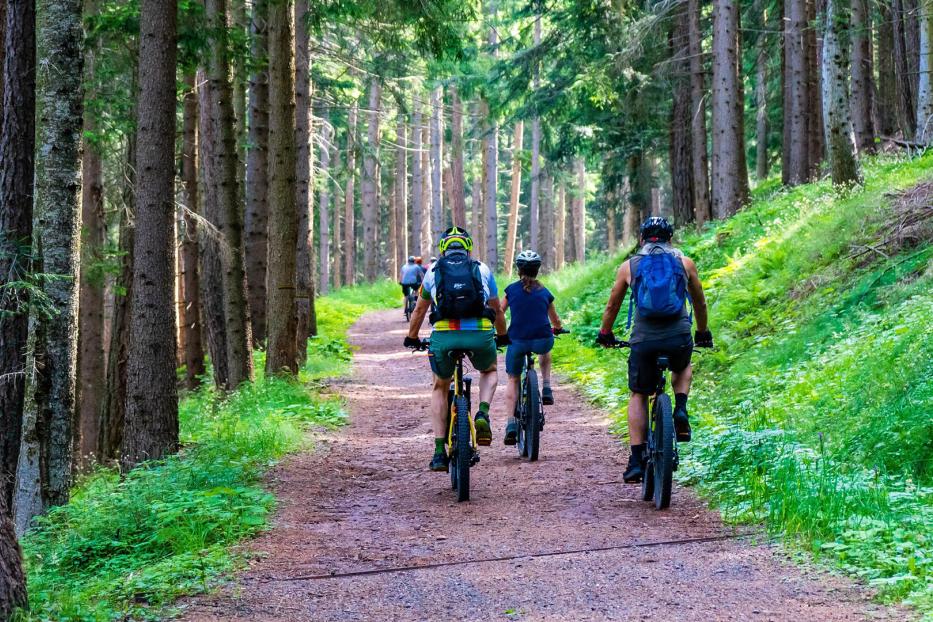 Mountainbikes kommen an Orte, wo andere Räder nicht hinkommen.