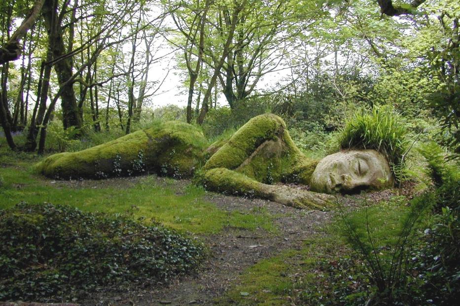 Heligan Gardens 