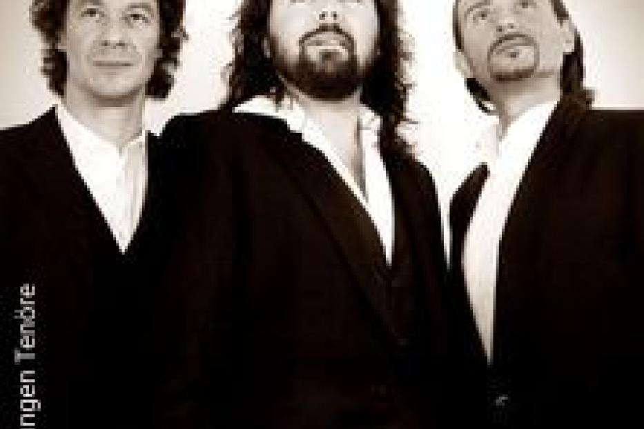 Die drei Sänger des Ensembles „Die Jungen Tenöre“ posieren in Anzügen.