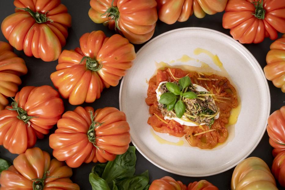 Ein Teller mit frischen Tomaten, darauf eine Scheibe Käse.