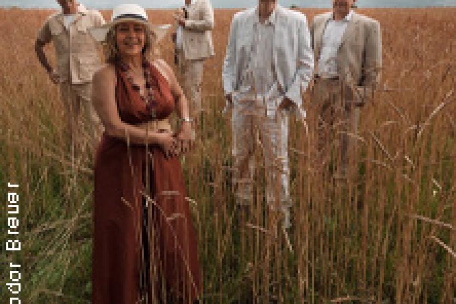 Eine Musikgruppe steht in einem Feld mit hohem, goldenem Gras.