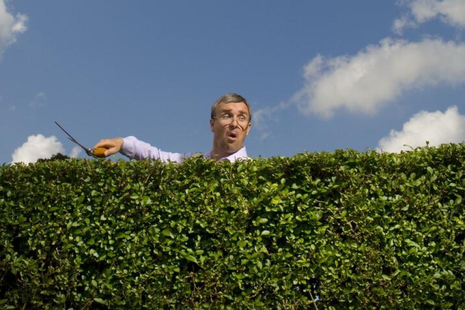 Mann schaut über die Hecke