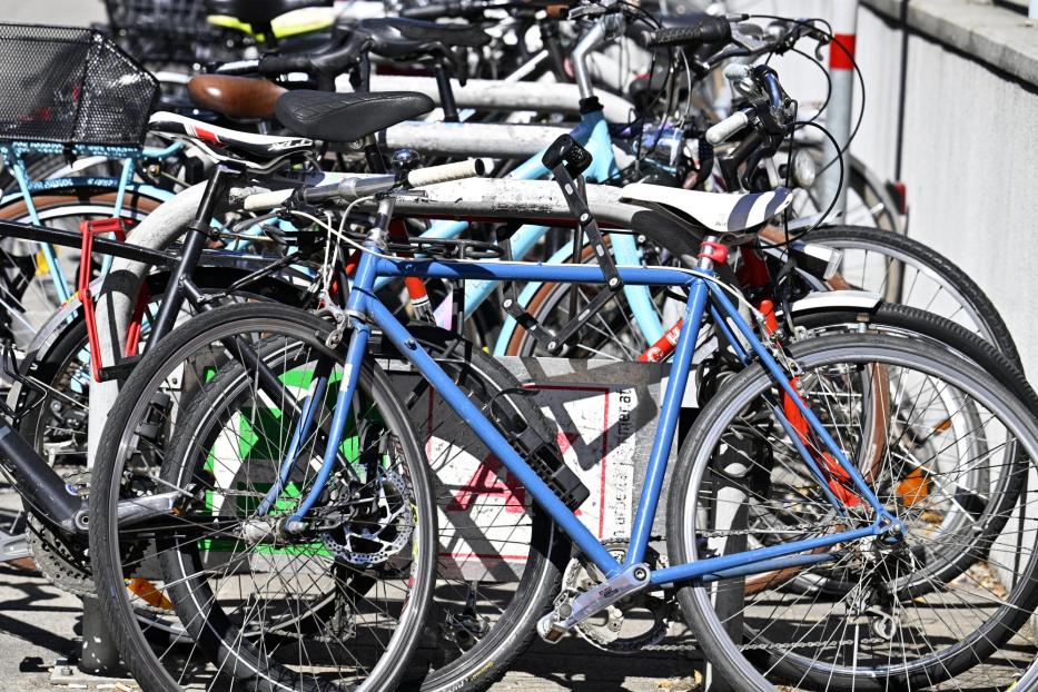 Viele Fahrräder stehen an einem Fahrradständer.