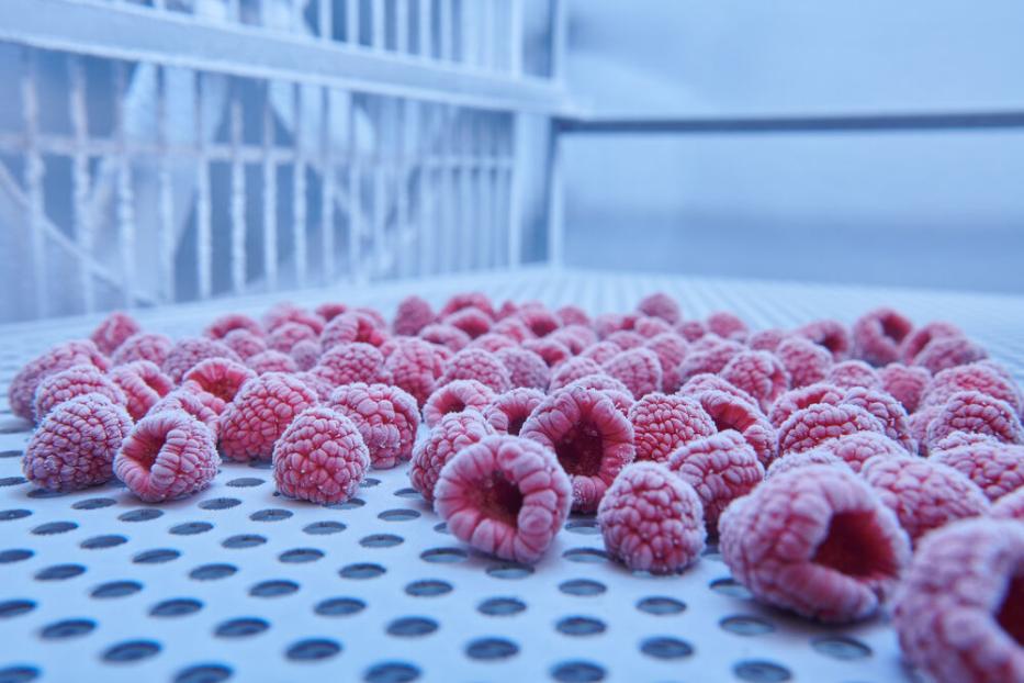 Gefrorene Himbeeren: So kühlt man sie richtig, dass sie länger haltbar sind.
