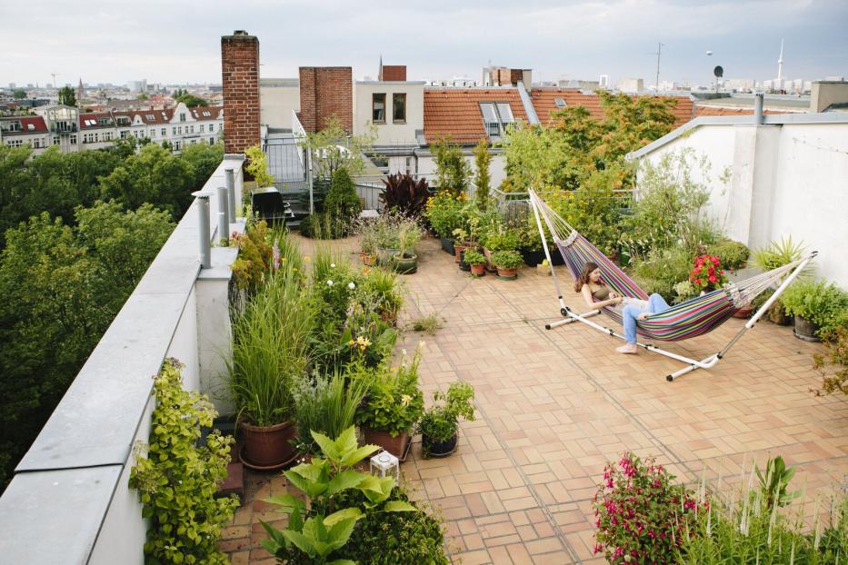 Große begrünte Dachterrasse mit Hängematte 