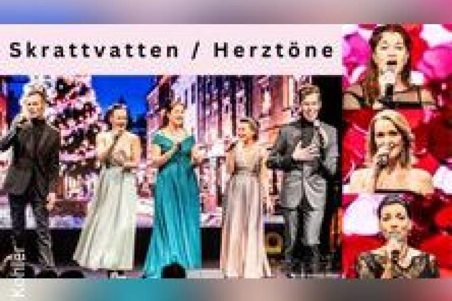 Die Musikgruppen Skrattvatten und Herztöne treten gemeinsam auf einer Bühne auf.