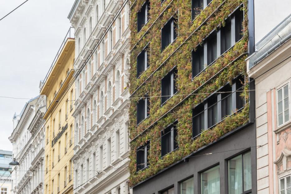 Fassadenbegrünung  beim Hotel Gilbert in Wien Neubau.