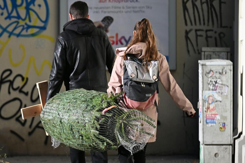 ++ THEMENBILD ++ WEIHNACHTEN / WEIHNACHTSBAUM / CHRISTBAUM