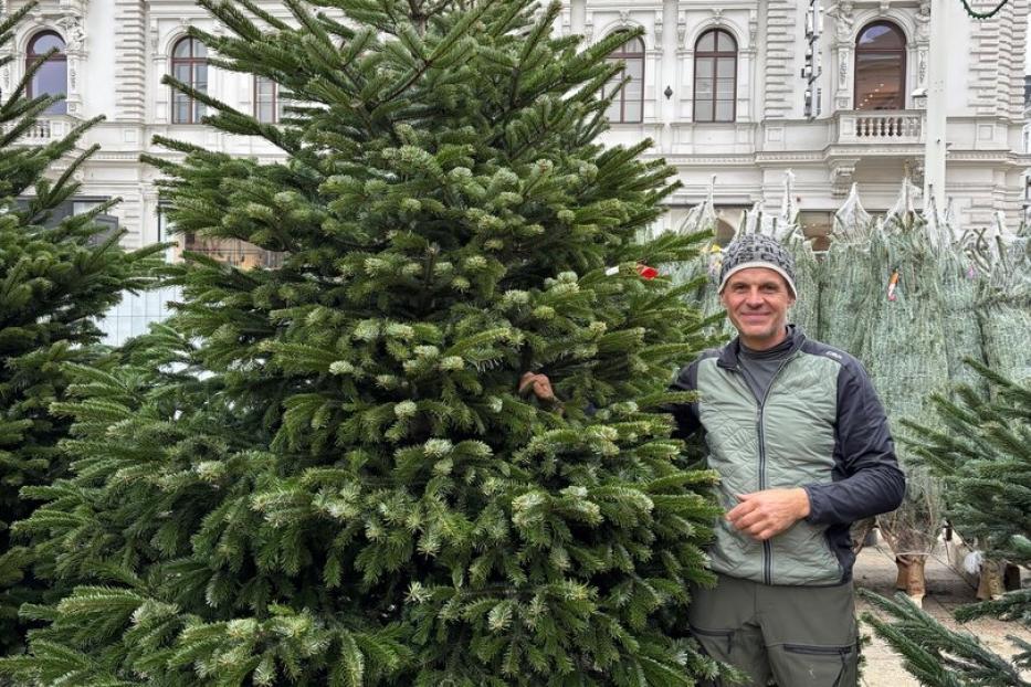 Stand-Besitzer neben großem Baum
