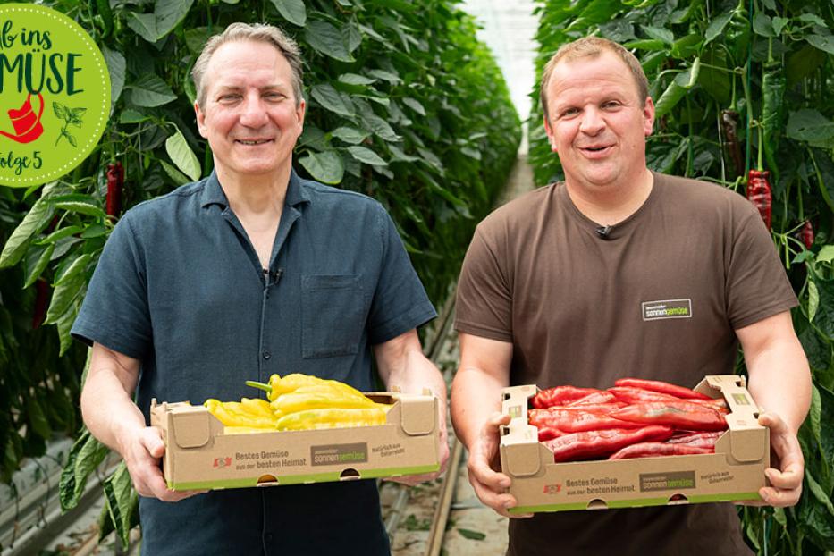 Robert Palfrader und Michael Unger halten jeweils einen Karton mit Spitzpaprika in den Händen.