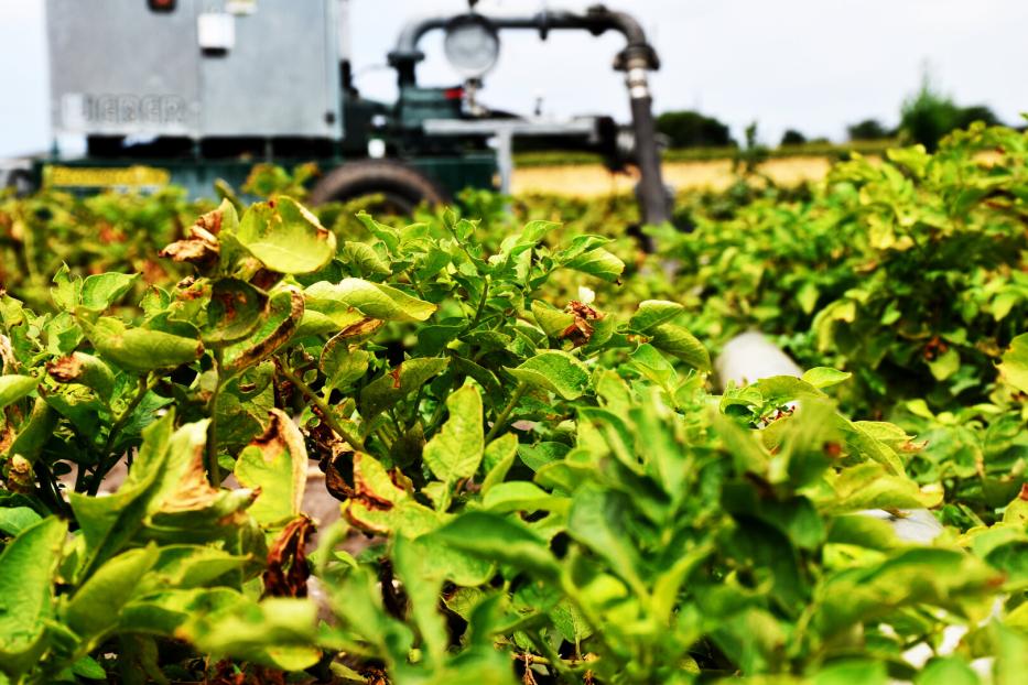 ein Feld wird von einem Traktor befahren