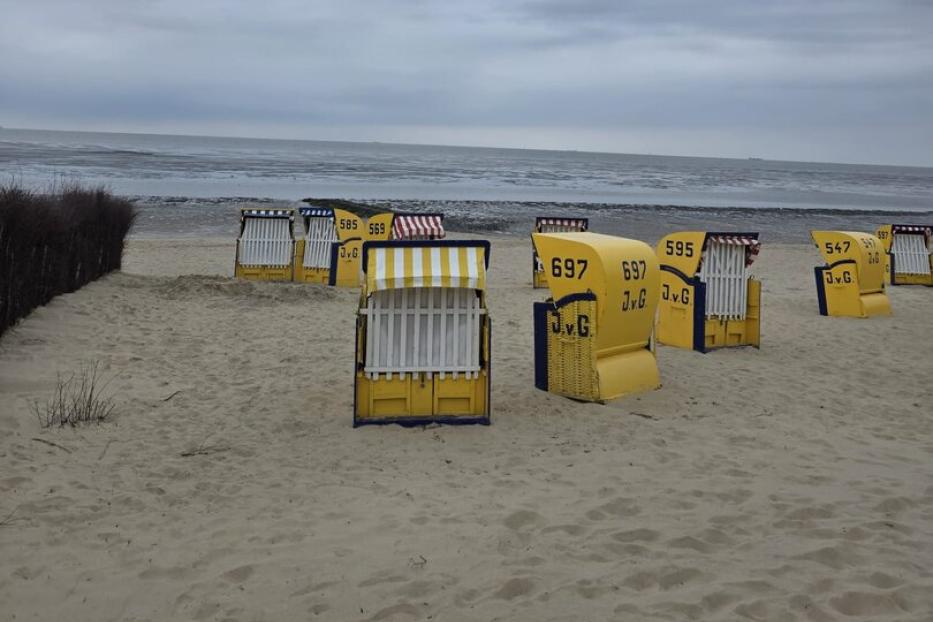 Gelbe Strandkörbe auf leerem Sandstrand vor grauer See und bewölktem Himmel.