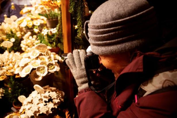 fotokurs-weihnachten-schoenbrunn-g9079-768x512.jpg