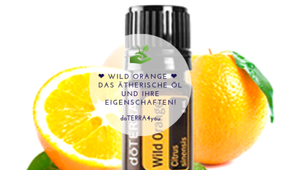 wild-orange-das-aetherische-oel-und-seine-eigenschaften.png